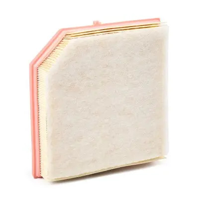 8A0867 2.webp