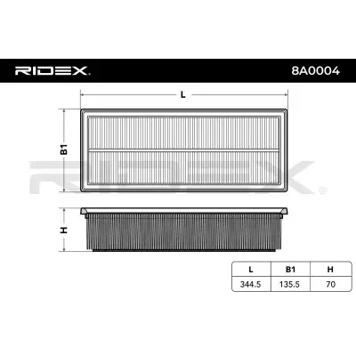 8A0004 2.webp