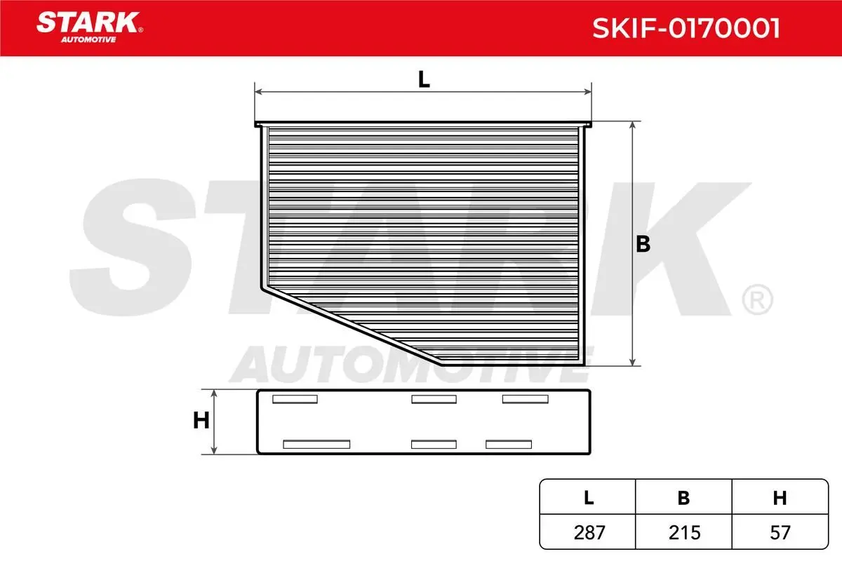SKIF-0170001 2.webp