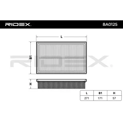 8A0125  4.webp - Alternative Part Numbers: 8A0125 , 46783546, 71771363, 6001073206, 5QM129620B