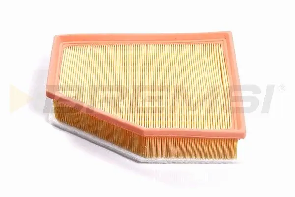 AIR FILTER (FA1098)