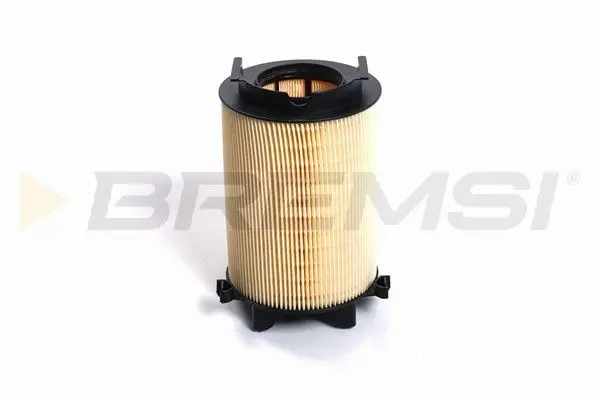 AIR FILTER (1F0129620 )