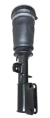 [(14778, 'FRONT AIRMATIC - (37116761443, 37116761443(BMW), 37116757501)')]