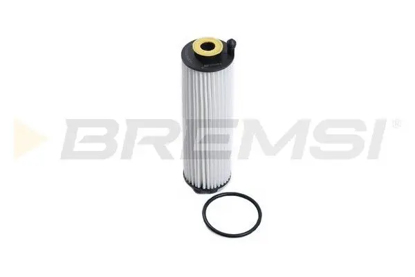OIL FILTER (FL2613)