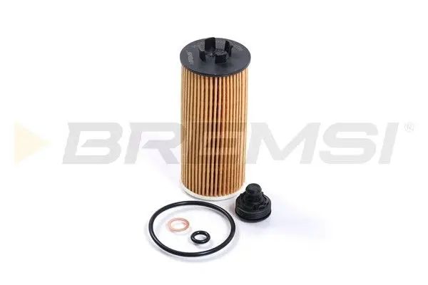 [(38312, 'OIL FILTER - (FL0266, 11428570590, 11428575210)')]