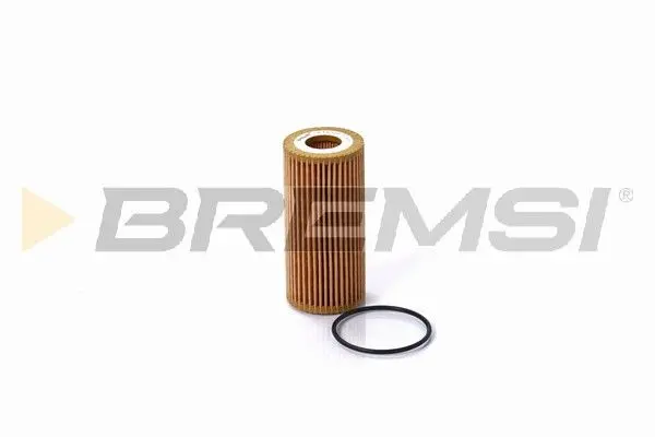 OIL FILTER (FL0696)