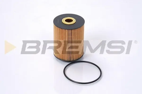 OIL FILTER (FL1284)
