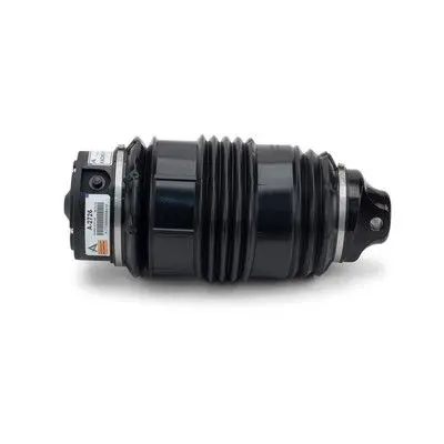 REAR AIR SPRING SUSPENSION