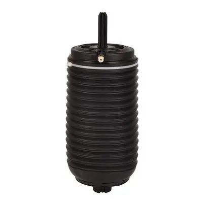[(38430, 'REAR AIR SPRING SUSPENSION - (95B616002F, 95B616002A , 95B616002B , 95B616002C , 95B616002D , 95B616002E , 95B616002H)')]