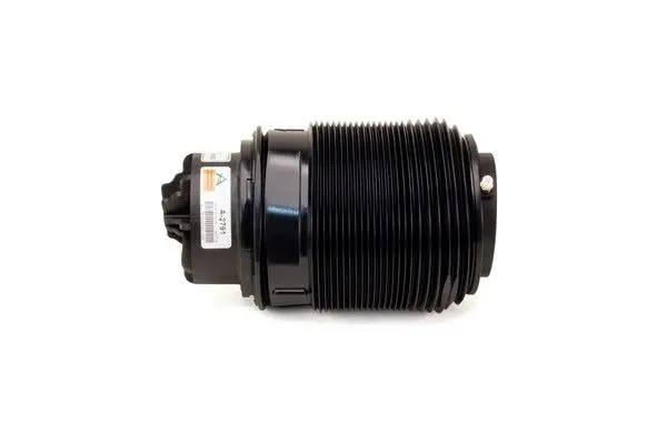 REAR AIR SPRING SUSPENSION (2123202125)