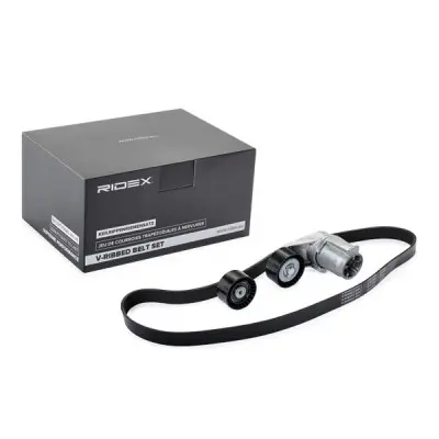 TENSIONE WITH V-BELT (542R0556)