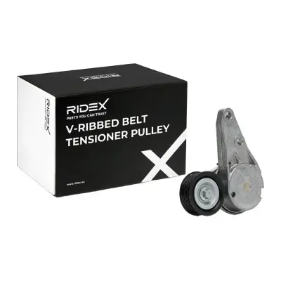 TENSIONER - 310T0542, 31258034